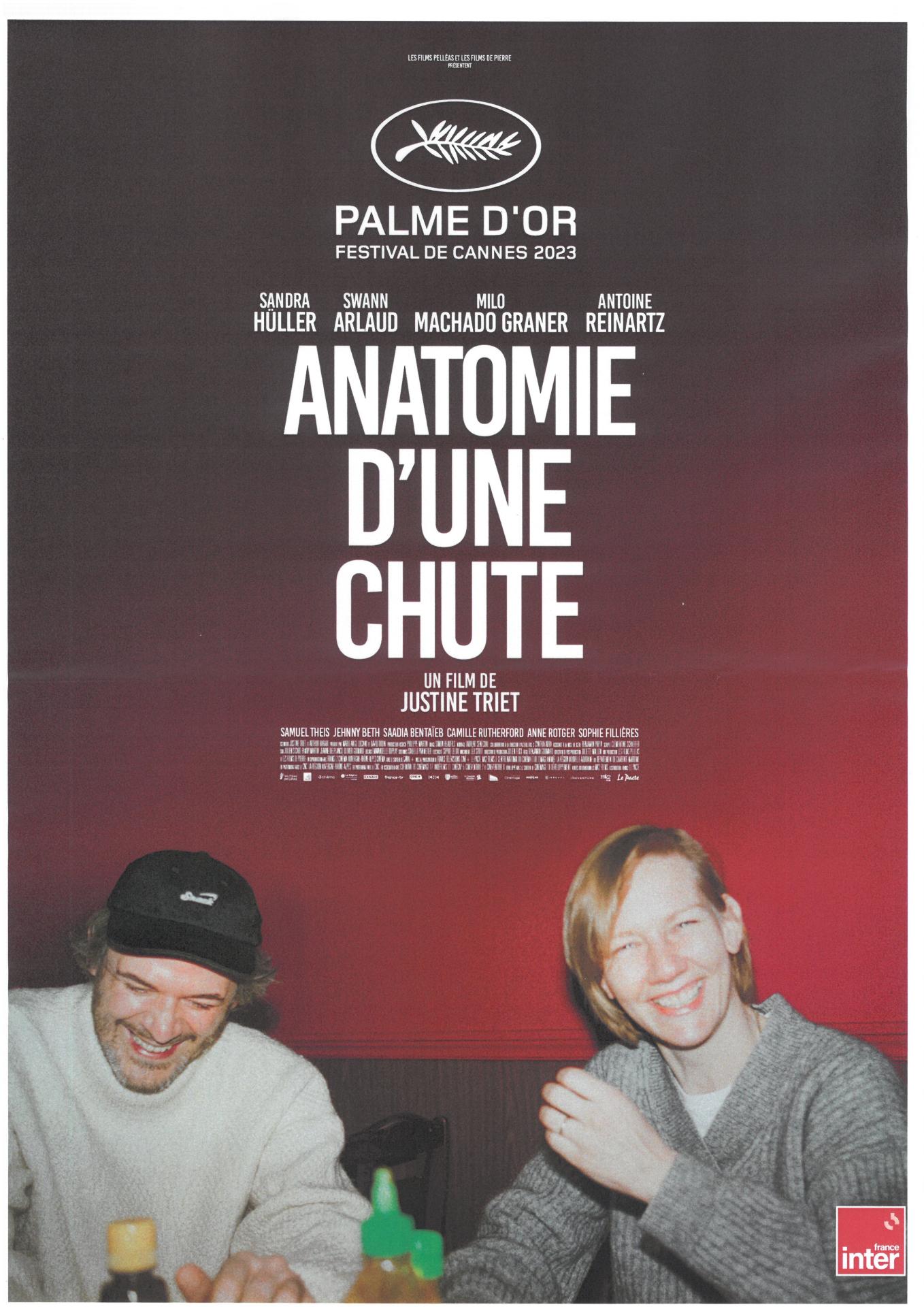 Affiche anatomie d'une chute